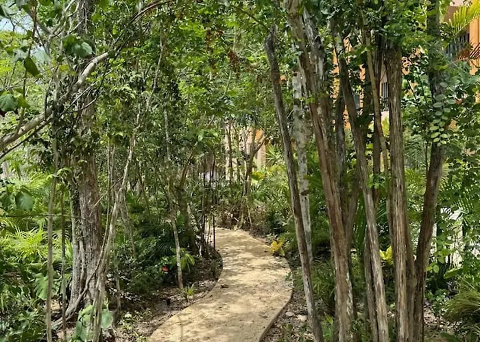 Luxury 3 Bedroom With Private Pool Aflora Tulum